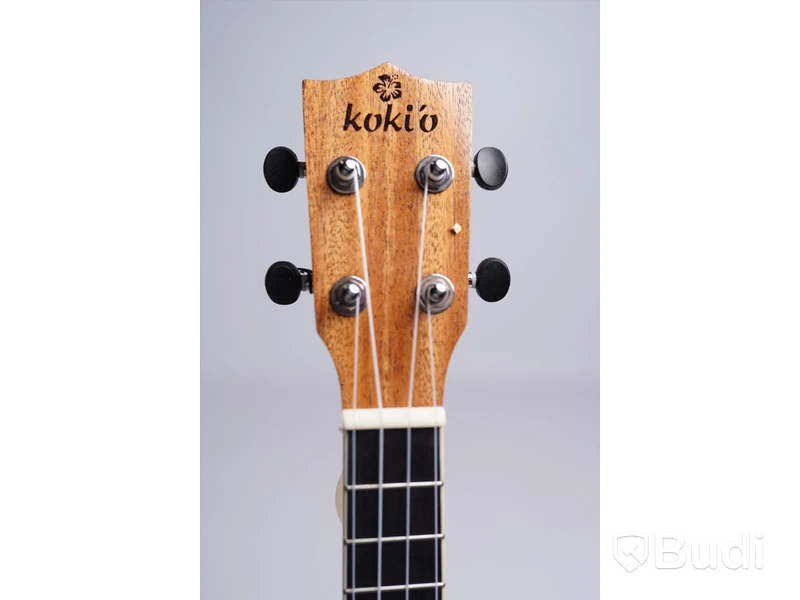 Ukulele - Koki'o, Mahogany Concert Inget Case, RISA Musical Instruments.