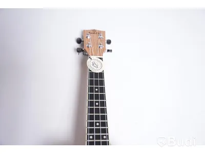 Ukulele - Koki'o, Zebrawood Concert med Case.