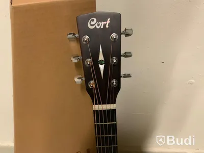 GITARR CORT EARTH 70 SOLID TOP