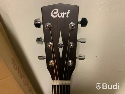 Gitarr Cort Earth 70 Solid top