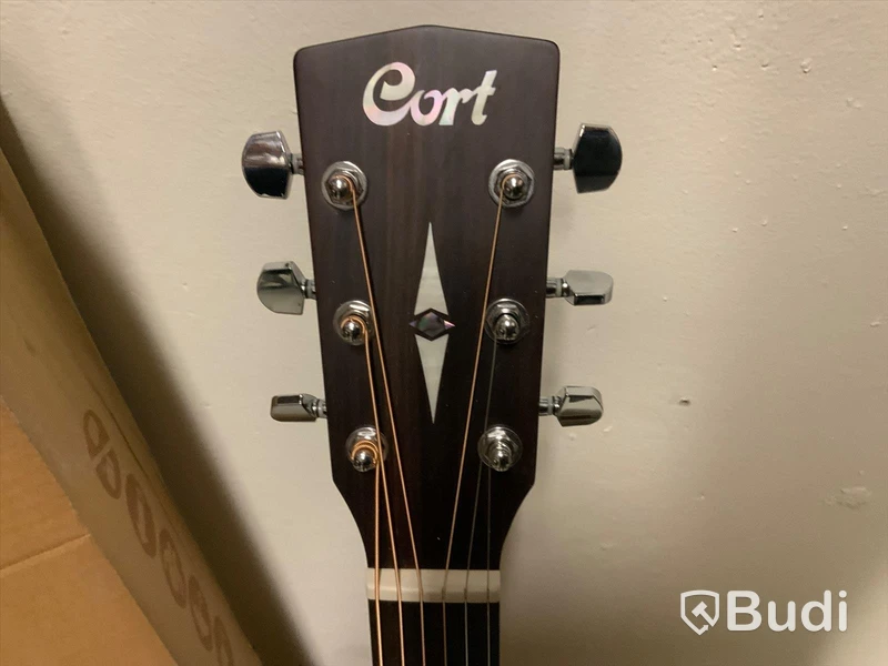 Gitarr Cort Earth 70 Solid top