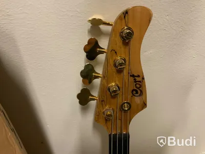 Elbas Cort Rithimic Jeff Berlin 4