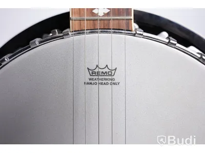 Banjo - Stagg