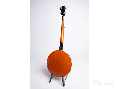 Banjo - Stagg