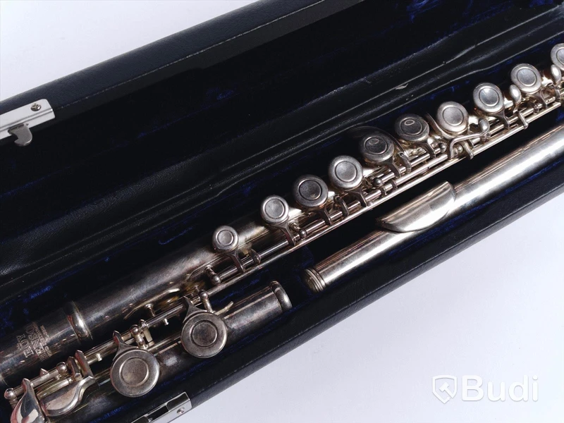 Flöjt - Roy Benson FL402E Flute