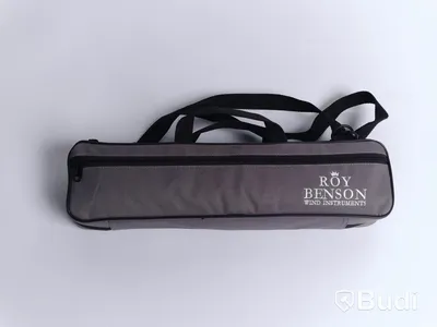 Flöjt - Roy Benson FL402E Flute
