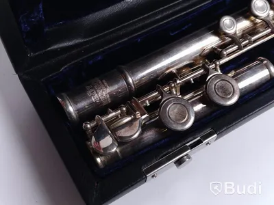 Flöjt - Roy Benson FL402E Flute