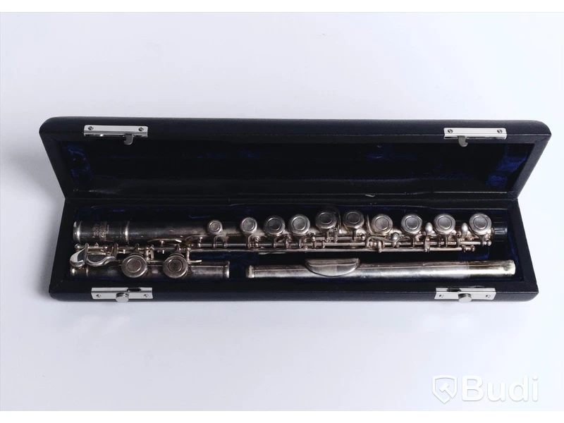 Flöjt - Roy Benson FL402E Flute