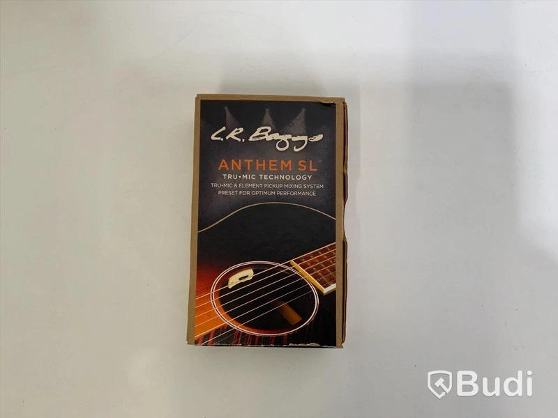 L.R. Biggs Anthem SL gitarrmick