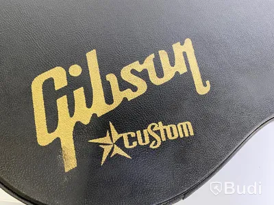 Gibson custom case signerat Mike Bloomfield med diverse defekter