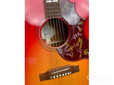 Gibson Montana Hummingbird Akustisk gitarr