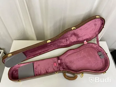 Gibson custom case