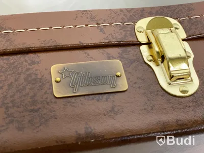 Gibson custom case