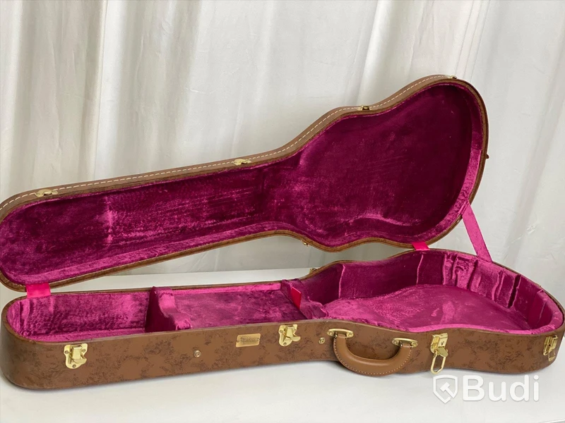 Gibson case