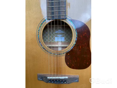 Cort Gold D6 NAT med case