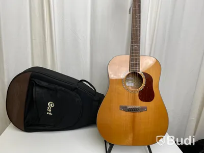 Cort Gold D6 NAT med case