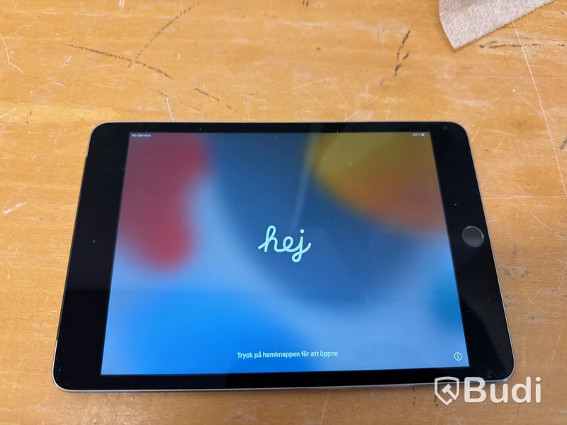 iPad mini