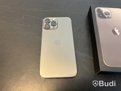 iPhone 13 Pro Max