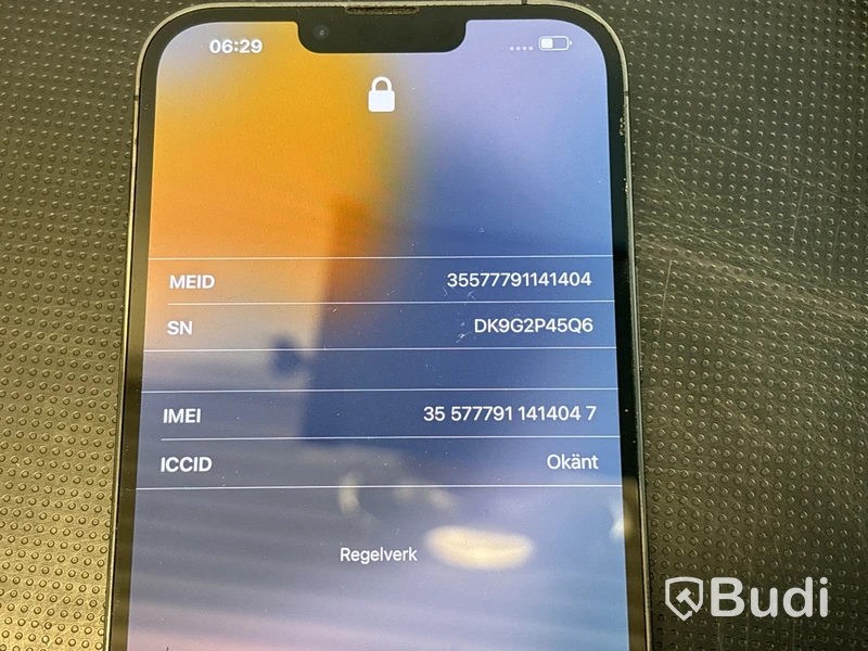 iPhone 13 Pro Max
