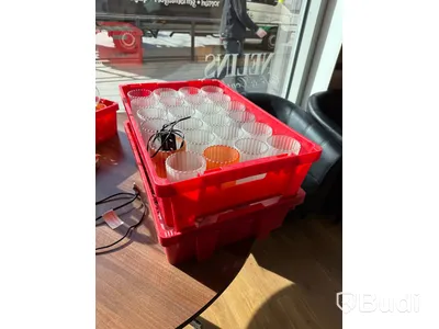 Glas och backar