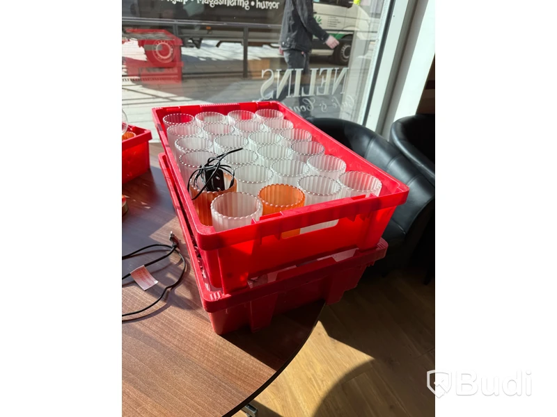 Glas och backar