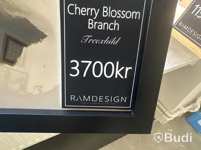 Tavla inramad print Cherry Blossom Branch Freechild, ord. pris 3700 kr. Mått 113x84 cm