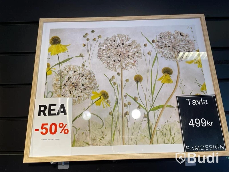 5 st tavlor i olika storlekar
