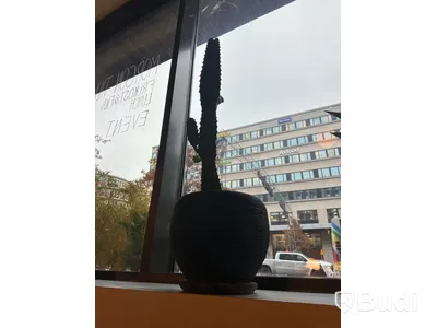 4 st växter och krukor