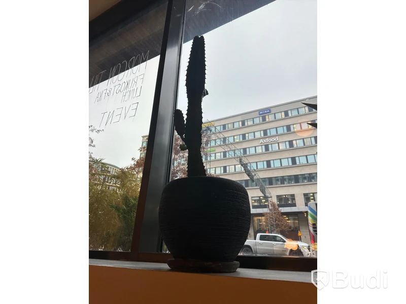 4 st växter och krukor