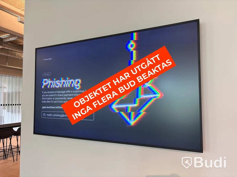 Skärm, Samsung, 65 tum