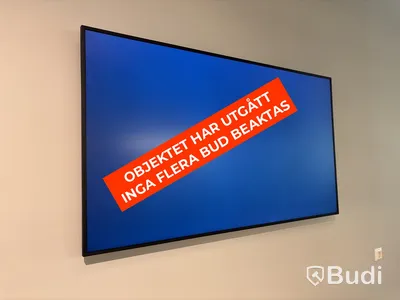 Skärm, Samsung, 65 tum