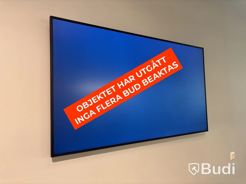 Skärm, Samsung, 65 tum