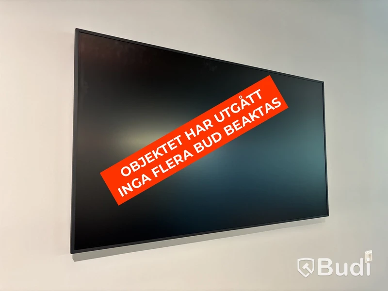 Skärm, Samsung, 65 tum
