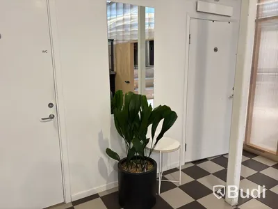 Växt, bord, spegel