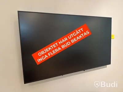 Skärm, Samsung, 65 tum