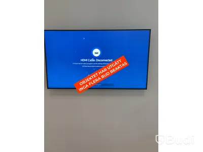 Skärm, Samsung, 65 tum