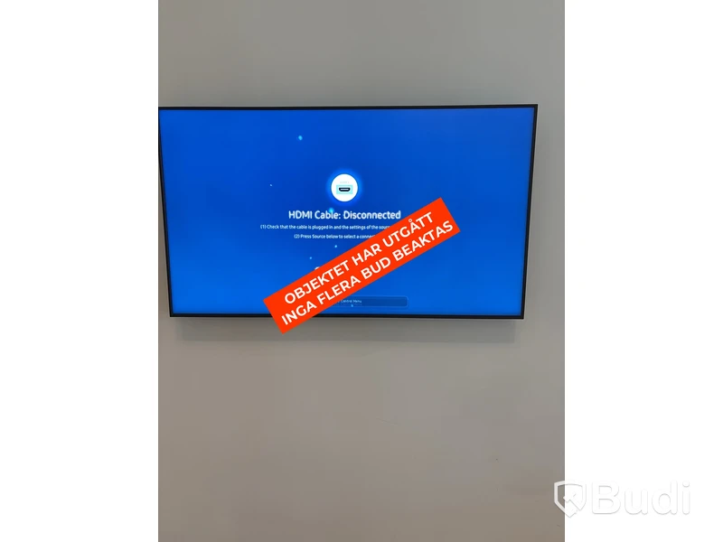 Skärm, Samsung, 65 tum