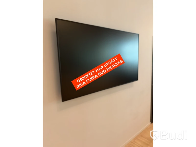 Skärm, Samsung, 65 tum