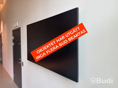 Skärm, Samsung, 65 tum