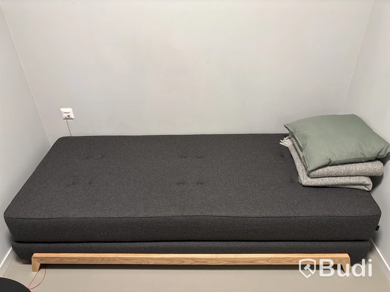 Vilorum Muuto, Softline