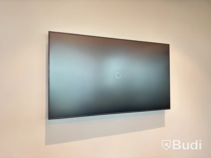 Skärm, Samsung, 65 tum