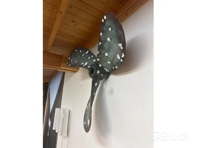 Propeller, prydnad