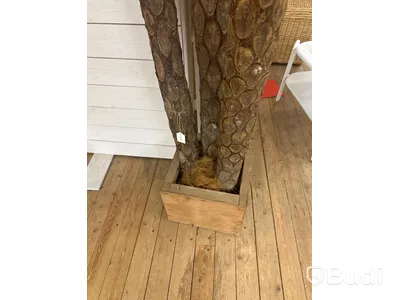 Stor plastväxt i kruka