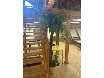 Plastväxt i kruka