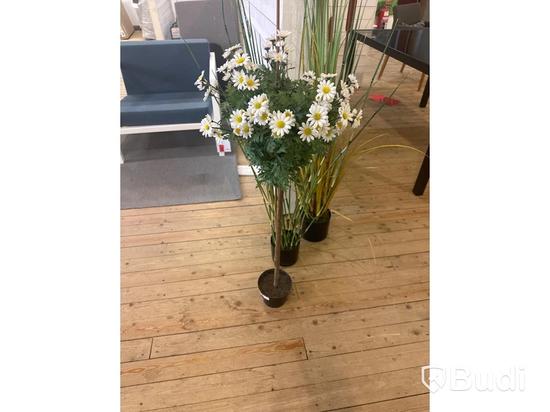 3 st. plastväxter