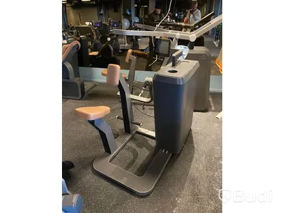 Gymmaskin Milon elektronisk triceps extension