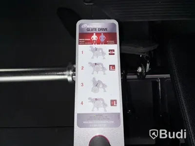 Hip Thruster Nautilus Glute Drive