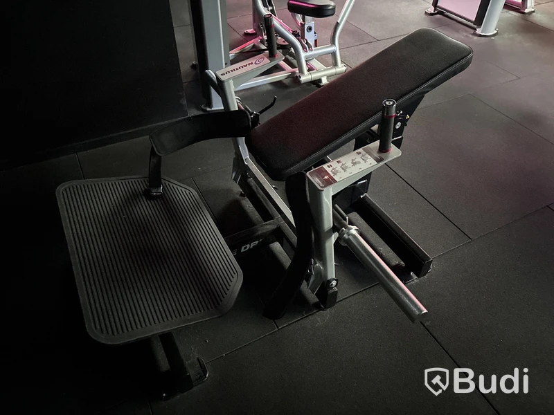 Hip Thruster Nautilus Glute Drive