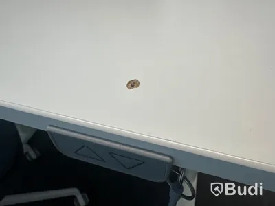 4 st. Höj och sänkbara skrivbord samt 4 st. Kontorsstolar