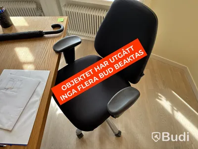 Höj- och sänkbart skrivbord i ekfanér med kontorsstol och skärm